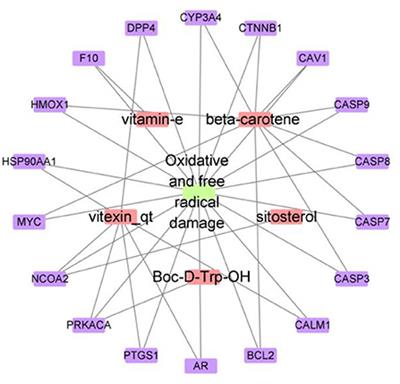 Elucidation of the potential antioxidant compound and mechanism of mung bean using network pharmacology and in vitro anti-oxidative activity